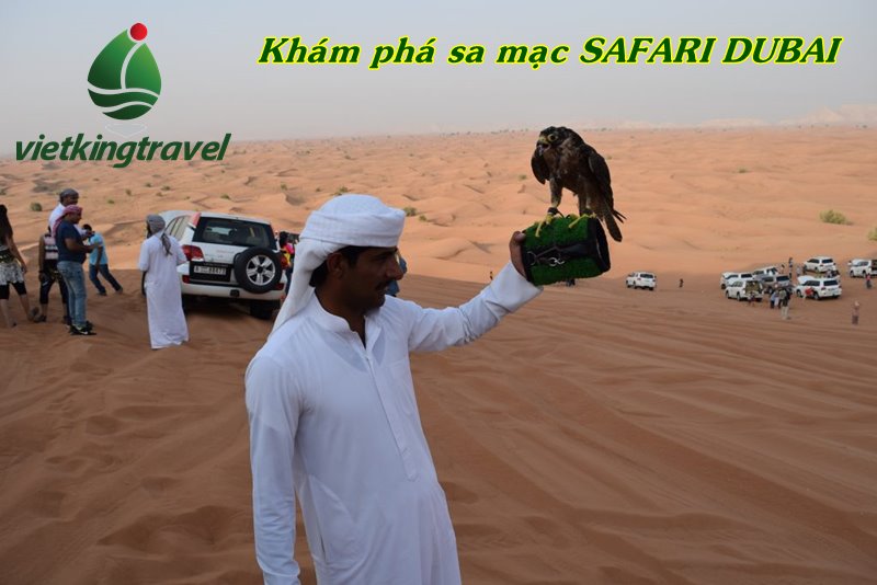 Hành trình khám phá sa mạc SAFARI trên xe Land cruiser