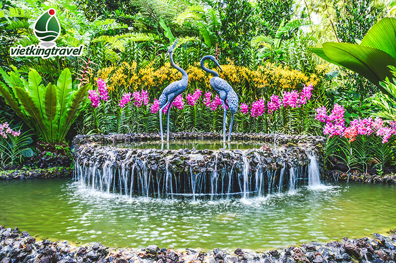 vườn bách thảo singapore điểm đến đẹp nhất Đông Nam Á.