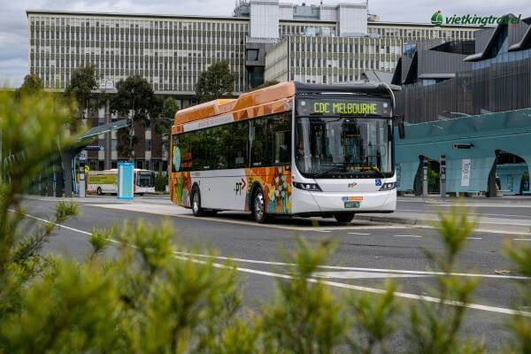 Xe buýt là một trong những phương tiện di chuyển phổ biến và tiện lợi tại Úc