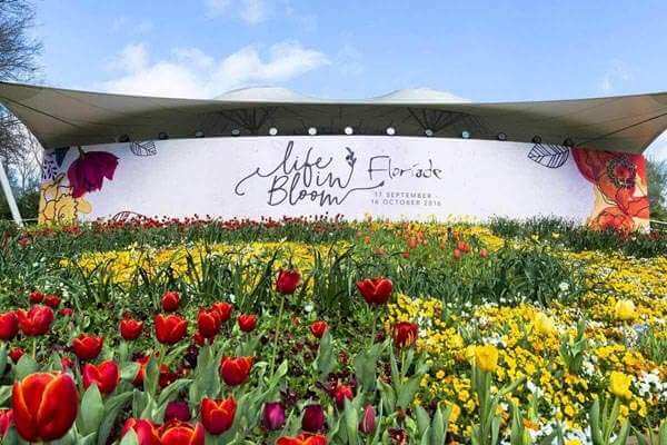 Lễ hội hoa Floriade lớn nhất vào mùa xuân ở Úc