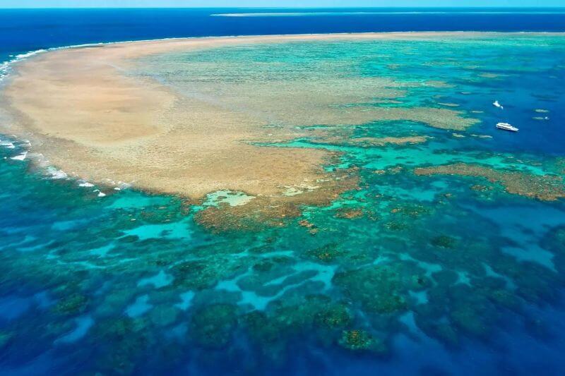Rạn san hô Great Barrier được đánh giá là một thiên đường san hô