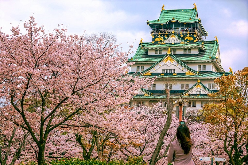 Thời điểm ngắm mùa hoa anh đào Nhật Bản 2024 - Vietkingtravel