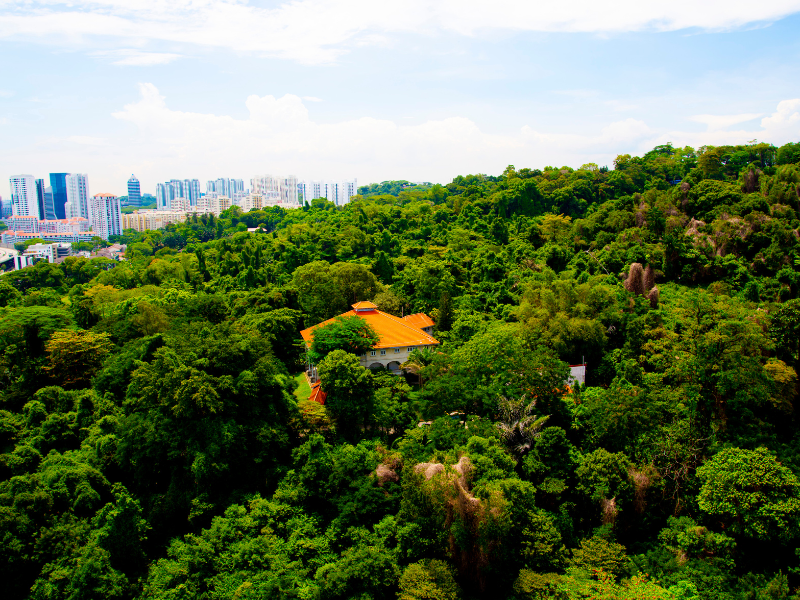 Đỉnh núi Faber Mount