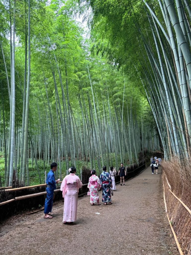 Rừng tre Arashiyama 