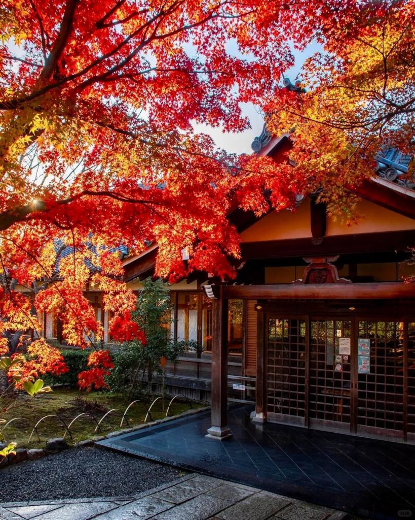 Chùa Tenryu-ji