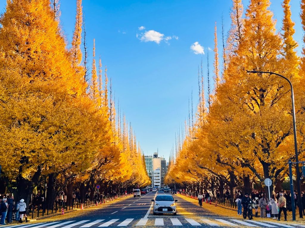 Meiji – jingu Gaien