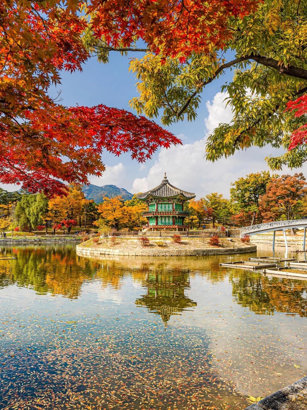 Tour Mùa Thu Hàn Quốc 2025: Busan – Seoul – Nami