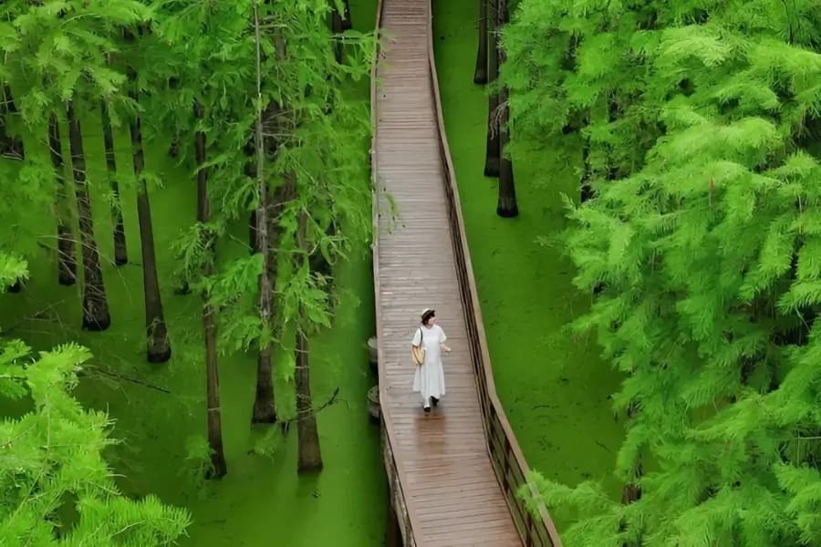 TOUR TẾT: THƯỢNG HẢI – TÂY Ô TRẤN – HÀNG CHÂU_6N5Đ _ KHỞI HÀNH TỪ: HÀ NỘI