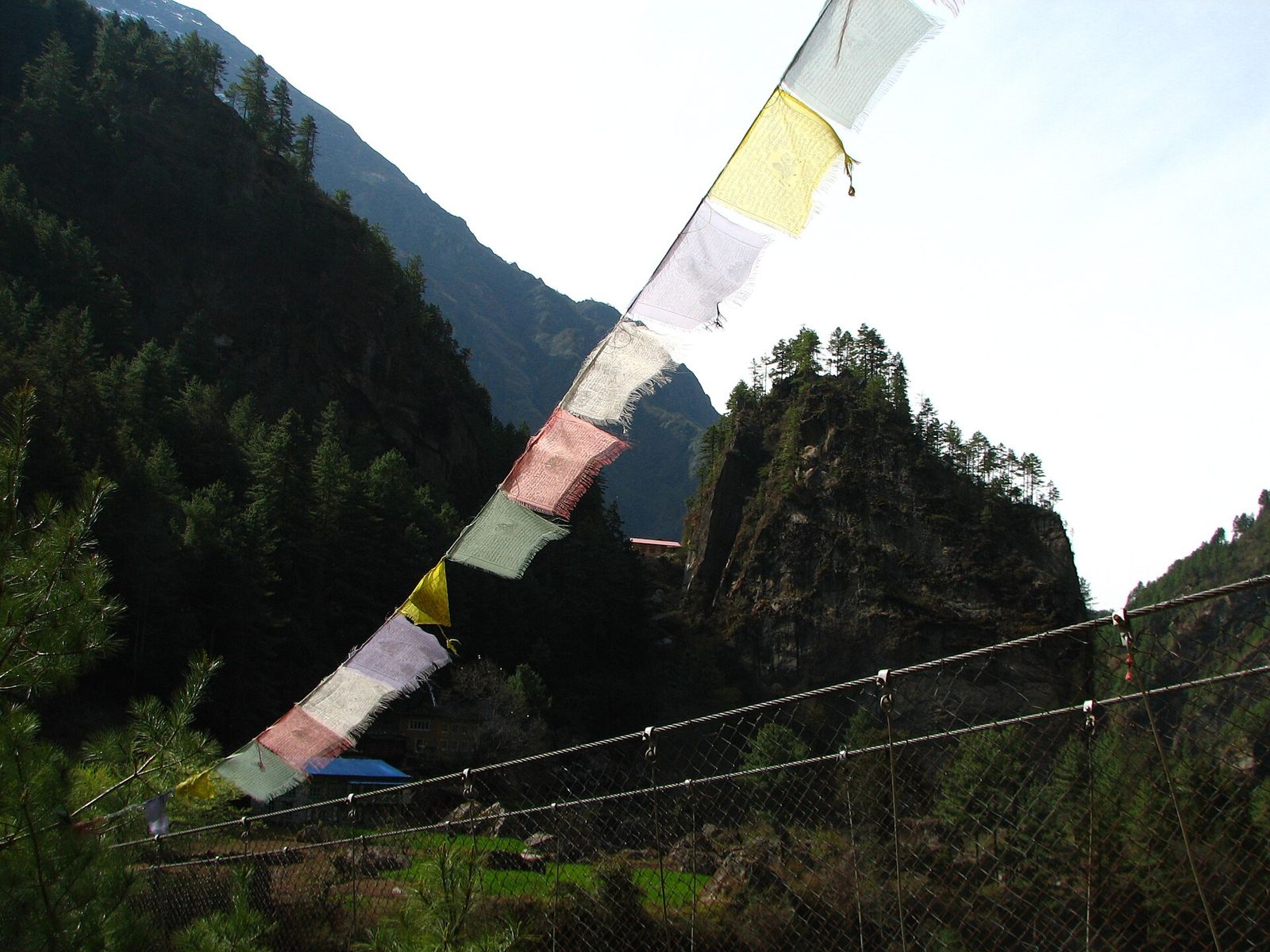 hình ảnh post