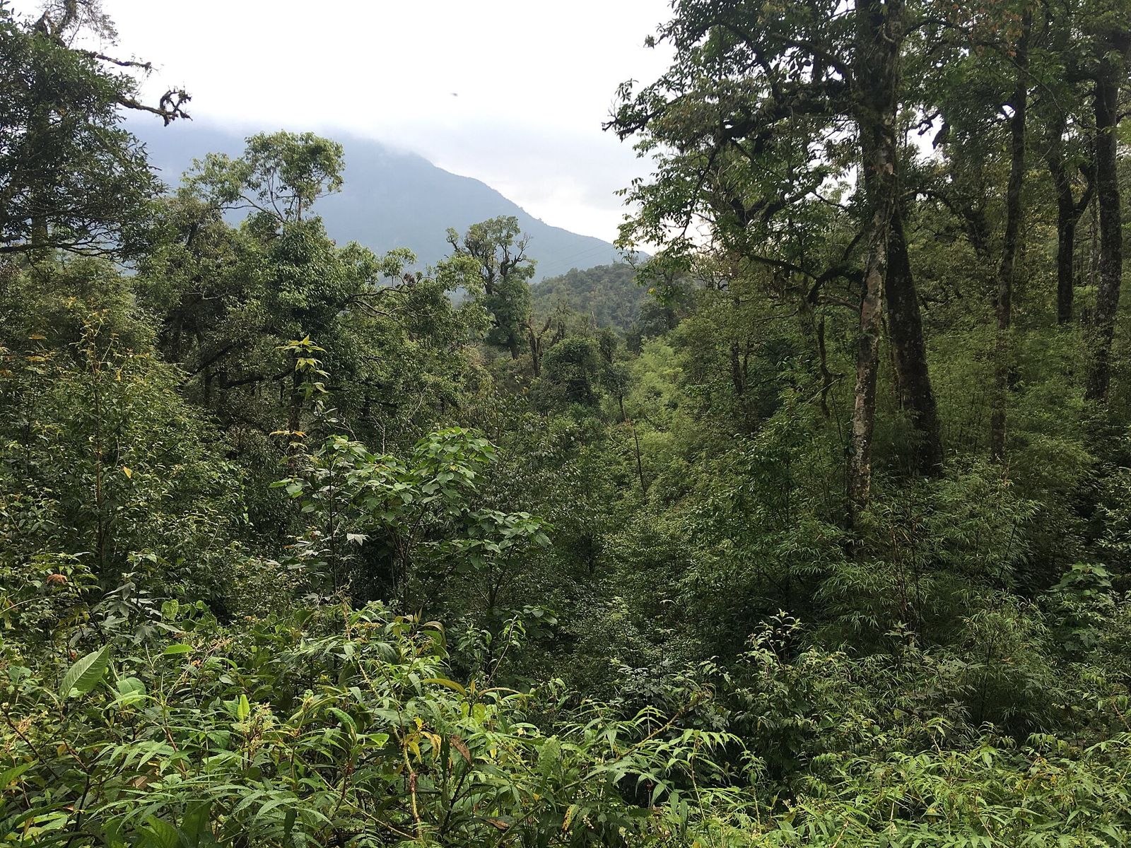 Dãy Hoàng Liên Sơn, nơi có cung trekking Fansipan hướng Trạm Tôn
