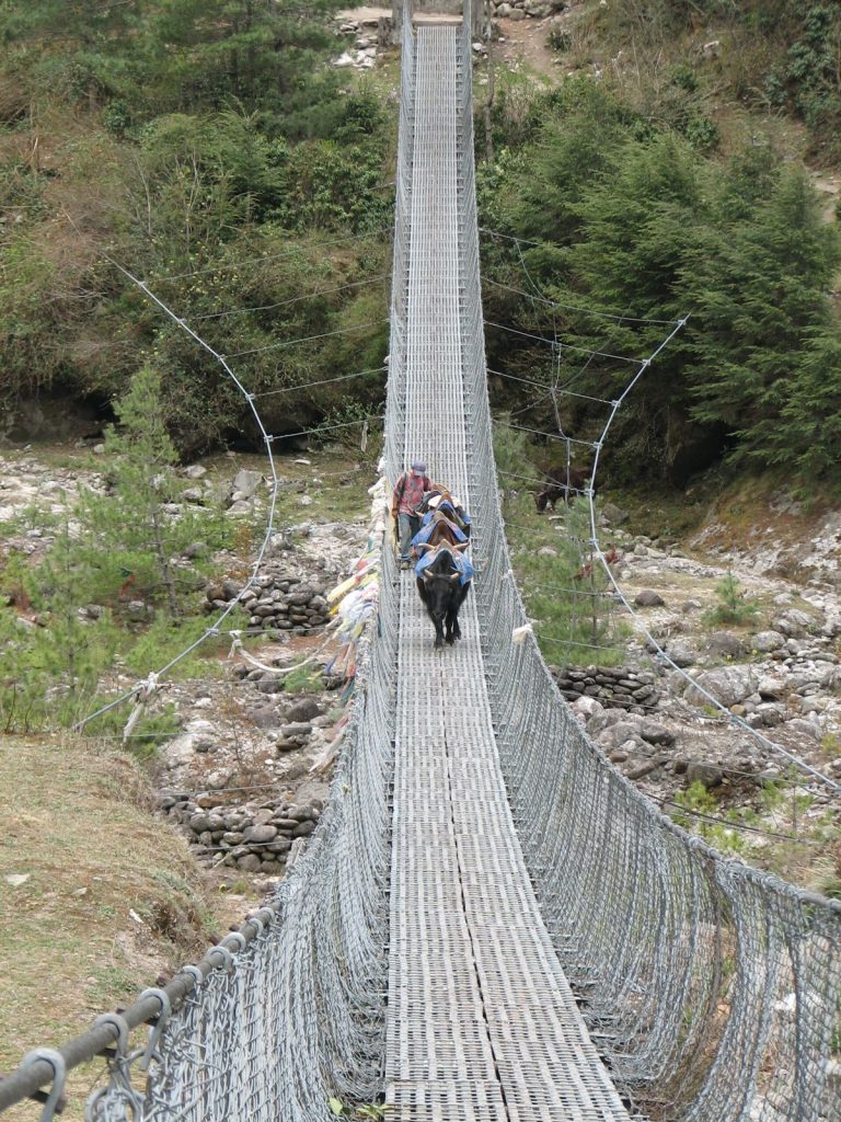 Đường mòn tuyến Everest Base Camp, nơi sức bền nền quyết định những ngày đầu