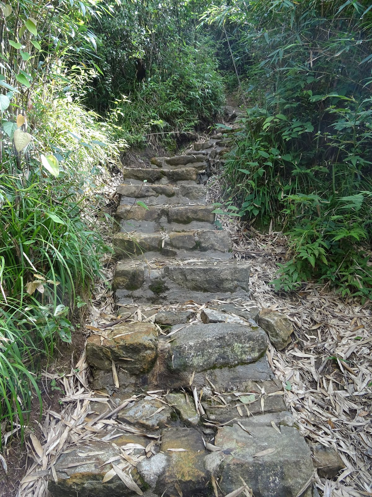 Đường trekking Hoàng Liên Sơn, nơi người Việt thử giày và balo trước chuyến dài ngày