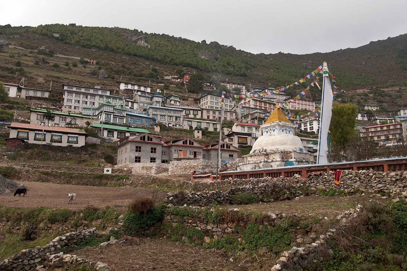 Namche Bazaar 3.440 m trên tuyến EBC, nơi nhiều người Việt lần đầu thấy vùng núi Himalaya