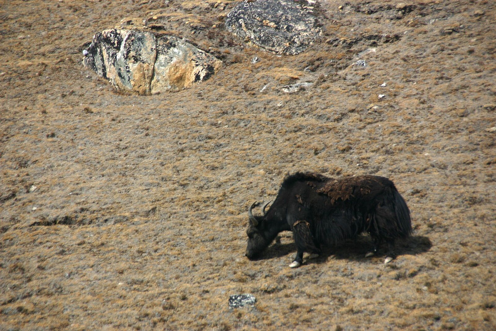 Gorak Shep ở độ cao 5.164 m, đêm ngủ cao nhất trên tuyến Everest Base Camp