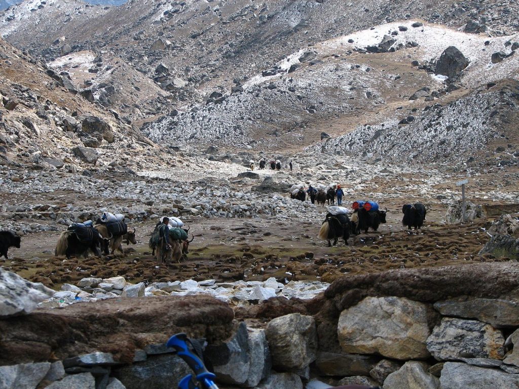 Người đi bộ trên đường mòn Everest Base Camp giữ nhịp chậm và đều