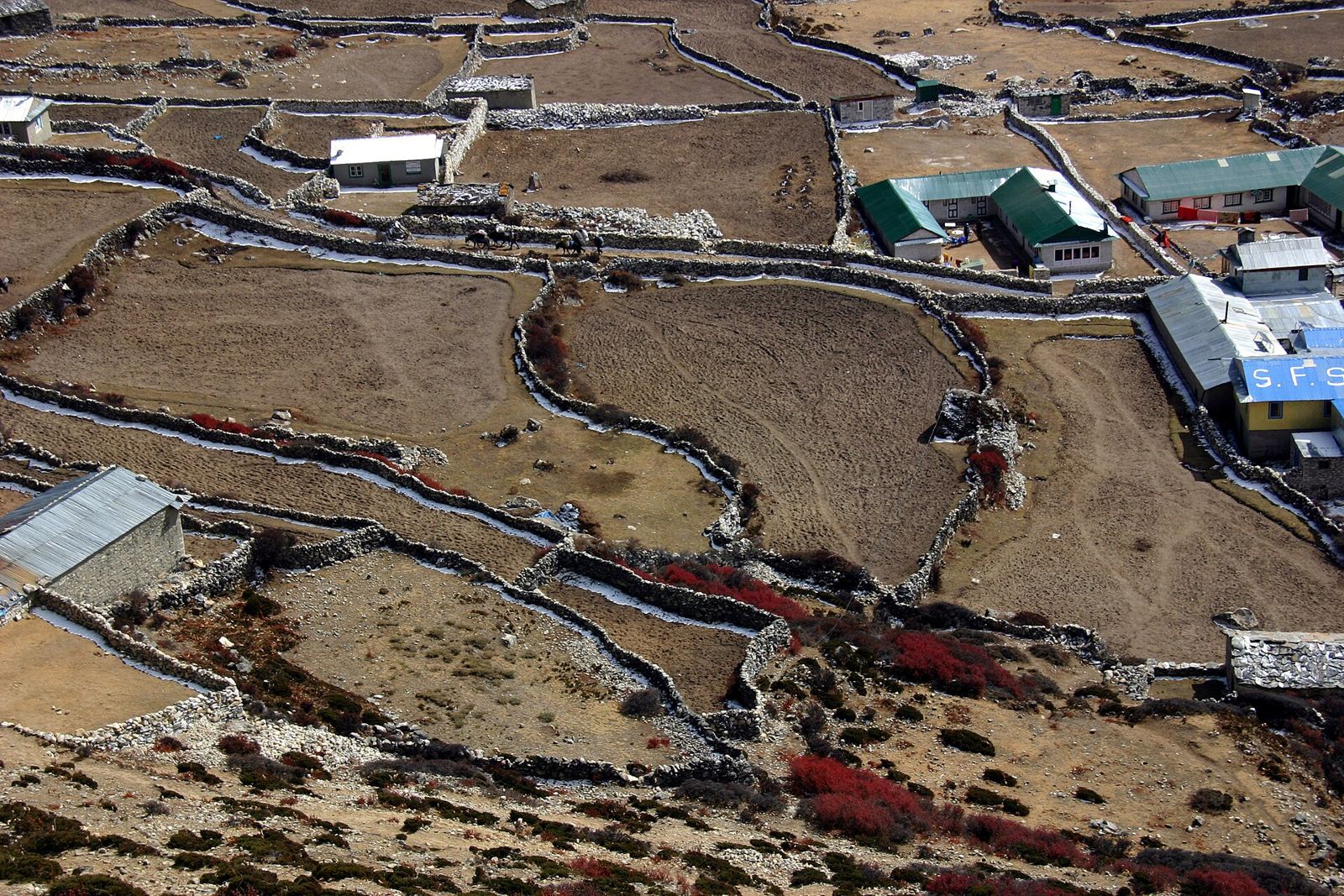 Dingboche ở độ cao 4.410 m, điểm dừng thích nghi thứ hai trên tuyến EBC