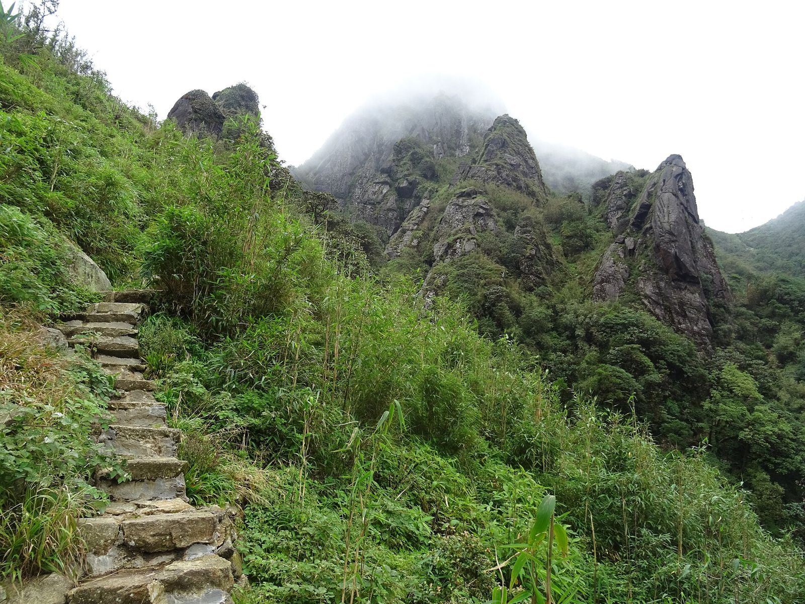 Rừng núi Hoàng Liên Sơn trên cung trekking Fansipan hướng Trạm Tôn