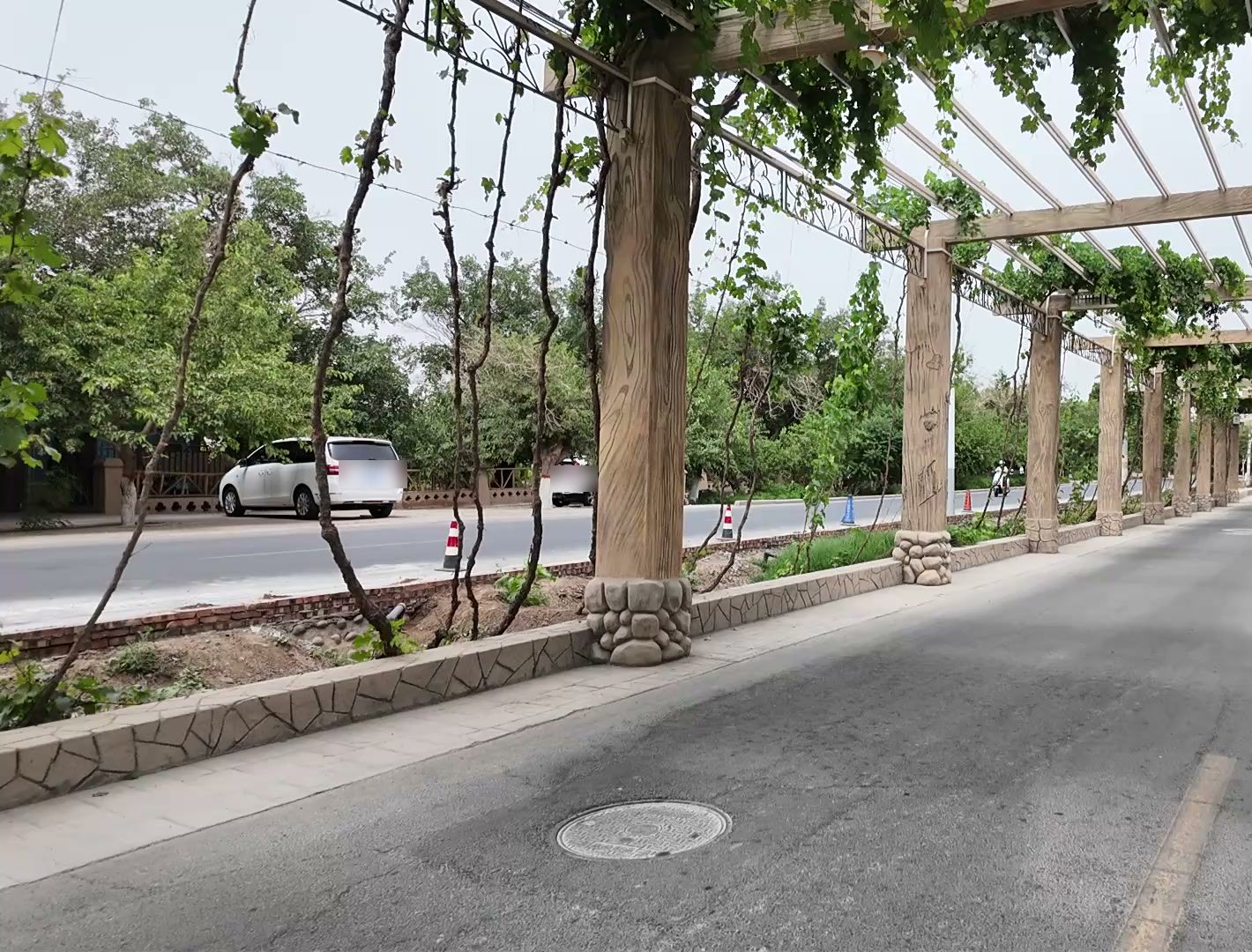 Con đường dưới giàn nho ở Turpan, vùng trồng nho của Tân Cương