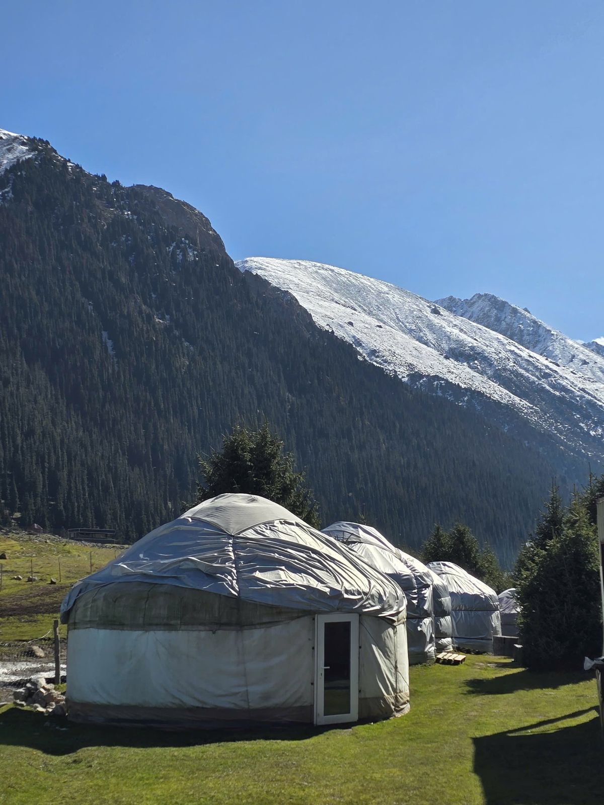 Altyn Arashan (lều yurt)