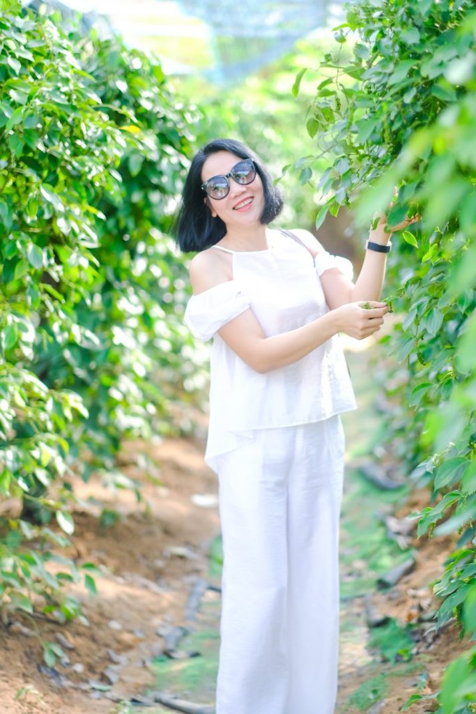 Vườn tiêu, Phú Quốc, Việt Nam - ảnh thực tế Vietkingtravel